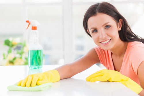 Kitchen and bathroom move out cleaning details in Chelsea