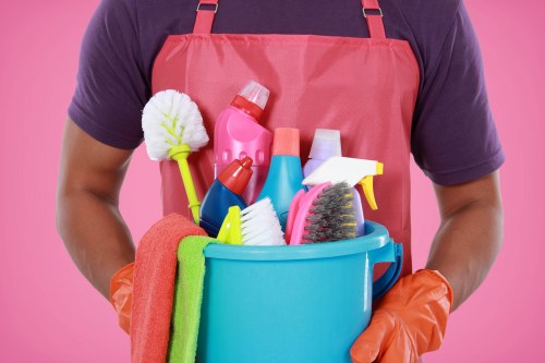 Professional upholstery cleaning for Chelsea living room sofas