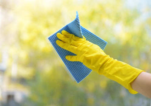 Local window cleaning service for Chelsea homes and period properties