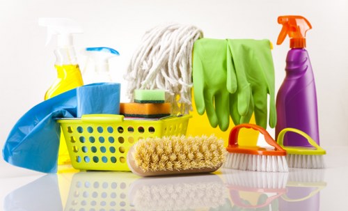 Professional cleaner working in a Chelsea townhouse living room