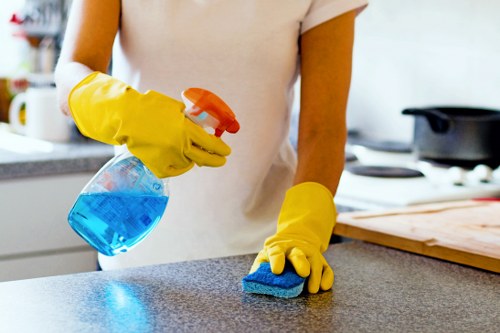 Gutter cleaning service for Chelsea townhouse properties