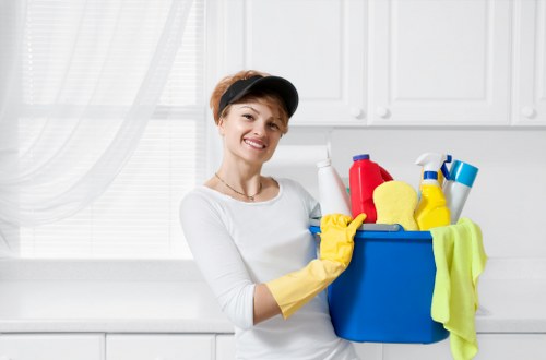 Professional oven cleaning service for Chelsea homes and apartments