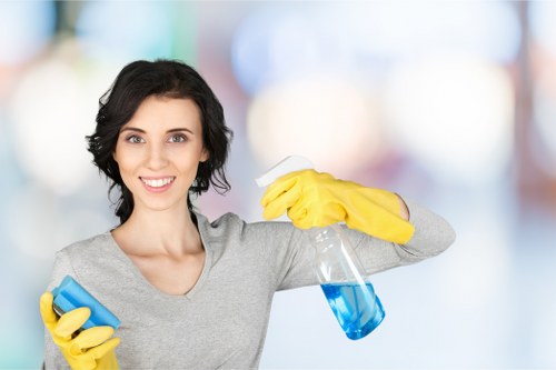 Careful window cleaning with attention to access, frames, and glass finish