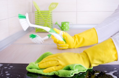 Detailed bathroom cleaning during a Chelsea move in service