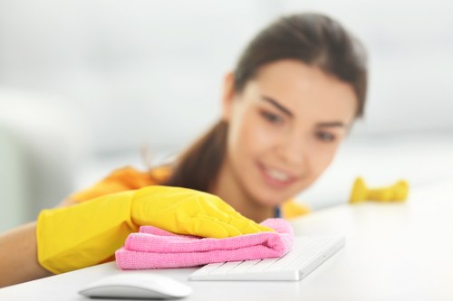 Professional cleaning of pet urine stains on upholstered furniture in Chelsea