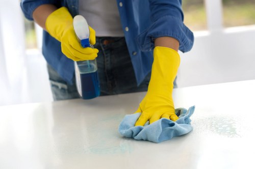 Stain and odour treatment for rugs in Chelsea properties