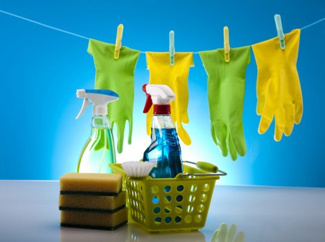Deep cleaning equipment used for pet stain removal on a Chelsea carpet